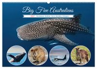 Big Five Australiens Buckelwal, Walhai, Orca, Quokka,Känguru (Wandkalender 2027 DIN A2 quer), CALVENDO Monatskalender