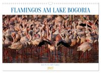 Flamingos am Lake Bogoria - Kenia (Wandkalender 2027 DIN A3 quer), CALVENDO Monatskalender
