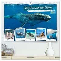 Big Five aus dem Ozean Hai, Delphin, Wal, Robbe, Pinguin (hochwertiger Premium Wandkalender 2027 DIN A2 quer), Kunstdruck in Hochglanz