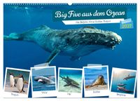 Big Five aus dem Ozean Hai, Delphin, Wal, Robbe, Pinguin (Wandkalender 2027 DIN A2 quer), CALVENDO Monatskalender