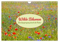 Wilde Blumen - ein Spaziergang durch die Natur (Wandkalender 2027 DIN A4 quer), CALVENDO Monatskalender
