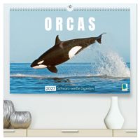 Orcas: Schwarz-weiße Giganten (hochwertiger Premium Wandkalender 2027 DIN A2 quer), Kunstdruck in Hochglanz