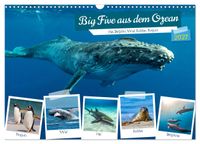 Big Five aus dem Ozean Hai, Delphin, Wal, Robbe, Pinguin (Wandkalender 2027 DIN A3 quer), CALVENDO Monatskalender