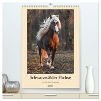 Schwarzwälder Füchse von Julia Hahn Photography (hochwertiger Premium Wandkalender 2027 DIN A2 hoch), Kunstdruck in Hochglanz