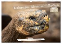 Die Riesenschildkröten der Galapagos Inseln (Wandkalender 2027 DIN A2 quer), CALVENDO Monatskalender