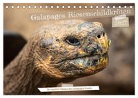 Die Riesenschildkröten der Galapagos Inseln (Tischkalender 2027 DIN A5 quer), CALVENDO Monatskalender