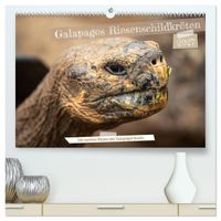 Die Riesenschildkröten der Galapagos Inseln (hochwertiger Premium Wandkalender 2027 DIN A2 quer), Kunstdruck in Hochglanz