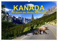 KANADA - Die Bären der Rocky Mountains (Wandkalender 2027 DIN A2 quer), CALVENDO Monatskalender