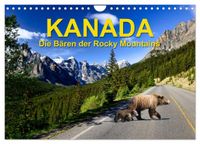 KANADA - Die Bären der Rocky Mountains (Wandkalender 2027 DIN A4 quer), CALVENDO Monatskalender