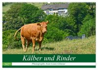 Kälber und Rinder (Wandkalender 2027 DIN A2 quer), CALVENDO Monatskalender