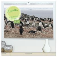 Antarktis Auf der Entdeckung ihrer Tierwelt (hochwertiger Premium Wandkalender 2027 DIN A2 quer), Kunstdruck in Hochglanz