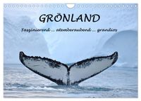 Grönland Faszinierend atemberaubend grandios (Wandkalender 2027 DIN A4 quer), CALVENDO Monatskalender
