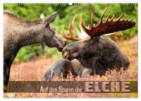 Auf den Spuren der Elche (Wandkalender 2027 DIN A2 quer), CALVENDO Monatskalender