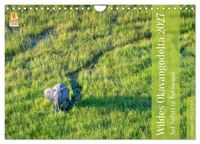 Wildes Okavangodelta (Wandkalender 2027 DIN A4 quer), CALVENDO Monatskalender