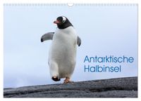 Antarktische Halbinsel (Wandkalender 2027 DIN A3 quer), CALVENDO Monatskalender