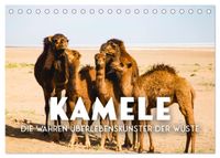 Kamele - die wahren Überlebenskünstler der Wüste. (Tischkalender 2027 DIN A5 quer), CALVENDO Monatskalender