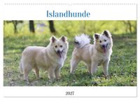 Islandhunde (Wandkalender 2027 DIN A2 quer), CALVENDO Monatskalender