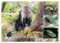 Costa Rica - Tropische Tierwelt (Wandkalender 2027 DIN A3 quer), CALVENDO Monatskalender