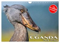 UGANDA - Perle Afrikas (Wandkalender 2027 DIN A4 quer), CALVENDO Monatskalender