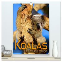 Koalas auf den Pelz gerückt (hochwertiger Premium Wandkalender 2027 DIN A2 hoch), Kunstdruck in Hochglanz