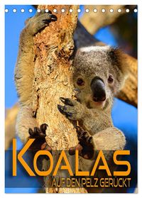 Koalas auf den Pelz gerückt (Tischkalender 2027 DIN A5 hoch), CALVENDO Monatskalender