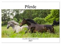 Pferde, das größte Glück auf dieser Erde (Wandkalender 2027 DIN A2 quer), CALVENDO Monatskalender