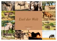 Esel der Welt - Lieblings Langohren (Wandkalender 2027 DIN A4 quer), CALVENDO Monatskalender