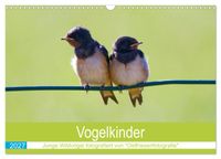 Vogelkinder - Junge Wildvögel (Wandkalender 2027 DIN A3 quer), CALVENDO Monatskalender