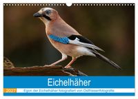 Eichelhäher - Egon der Eichelhäher fotografiert von Ostfriesenfotografie (Wandkalender 2027 DIN A3 quer), CALVENDO Monatskalender