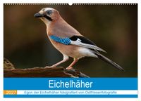 Eichelhäher - Egon der Eichelhäher fotografiert von Ostfriesenfotografie (Wandkalender 2027 DIN A2 quer), CALVENDO Monatskalender