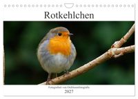 Rotkehlchen - Fotografiert von Ostfriesenfotografie (Wandkalender 2027 DIN A4 quer), CALVENDO Monatskalender