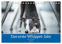 Das erste Whippet-Jahr (Tischkalender 2027 DIN A5 quer), CALVENDO Monatskalender
