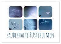 Zauberhafte Pusteblumen (Wandkalender 2027 DIN A2 quer), CALVENDO Monatskalender
