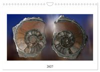 Versteinerte Welt (Wandkalender 2027 DIN A4 quer), CALVENDO Monatskalender