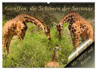 Giraffen, die Schönen der Savanne (Wandkalender 2027 DIN A2 quer), CALVENDO Monatskalender