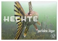 Hechte - perfekte Jäger (Wandkalender 2027 DIN A2 quer), CALVENDO Monatskalender