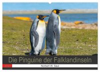 Die Pinguine der Falklandinseln (Wandkalender 2027 DIN A2 quer), CALVENDO Monatskalender