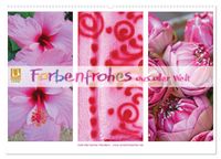 Farbenfrohes aus aller Welt (Wandkalender 2027 DIN A2 quer), CALVENDO Monatskalender