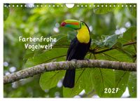 Farbenfrohe Vogelwelt (Wandkalender 2027 DIN A4 quer), CALVENDO Monatskalender