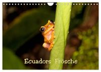 Ecuadors Frösche (Wandkalender 2027 DIN A4 quer), CALVENDO Monatskalender