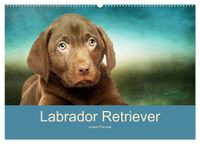 Labrador Retriever unsere Freunde (Wandkalender 2027 DIN A2 quer), CALVENDO Monatskalender