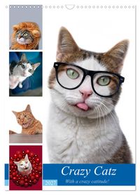 Crazy Catz. (Wandkalender 2027 DIN A3 hoch), CALVENDO Monatskalender