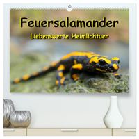 Feuersalamander - Liebenswerte Heimlichtuer (hochwertiger Premium Wandkalender 2027 DIN A2 quer), Kunstdruck in Hochglanz