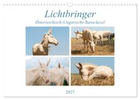 Lichtbringer - Österreichisch-Ungarische Barockesel (Wandkalender 2027 DIN A3 quer), CALVENDO Monatskalender