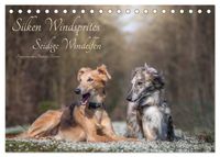 Silken Windsprites - Seidige Windelfen (Tischkalender 2027 DIN A5 quer), CALVENDO Monatskalender