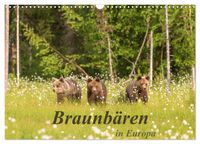 Braunbären in Europa (Wandkalender 2027 DIN A3 quer), CALVENDO Monatskalender