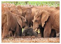 ADDO ELEPHANT NATIONAL PARK Elefanten Babies (Tischkalender 2027 DIN A5 quer), CALVENDO Monatskalender
