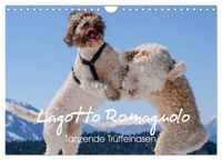 Lagotto Romagnolo Tanzende Trüffelnasen (Wandkalender 2027 DIN A4 quer), CALVENDO Monatskalender