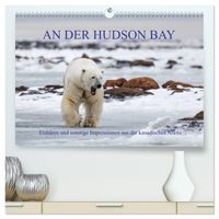 AN DER HUDSON BAY (hochwertiger Premium Wandkalender 2027 DIN A2 quer), Kunstdruck in Hochglanz