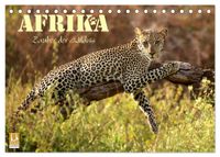 Afrika - Zauber der Wildnis (Tischkalender 2027 DIN A5 quer), CALVENDO Monatskalender